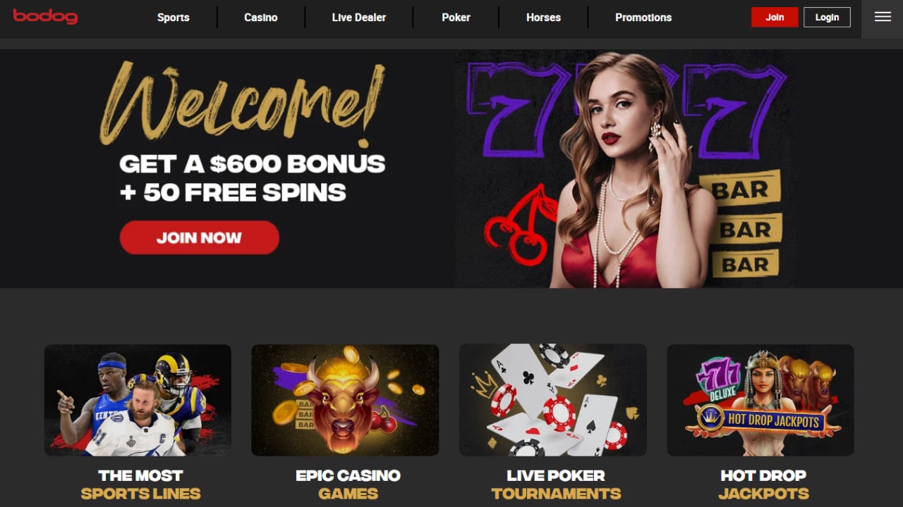 Bodog casino