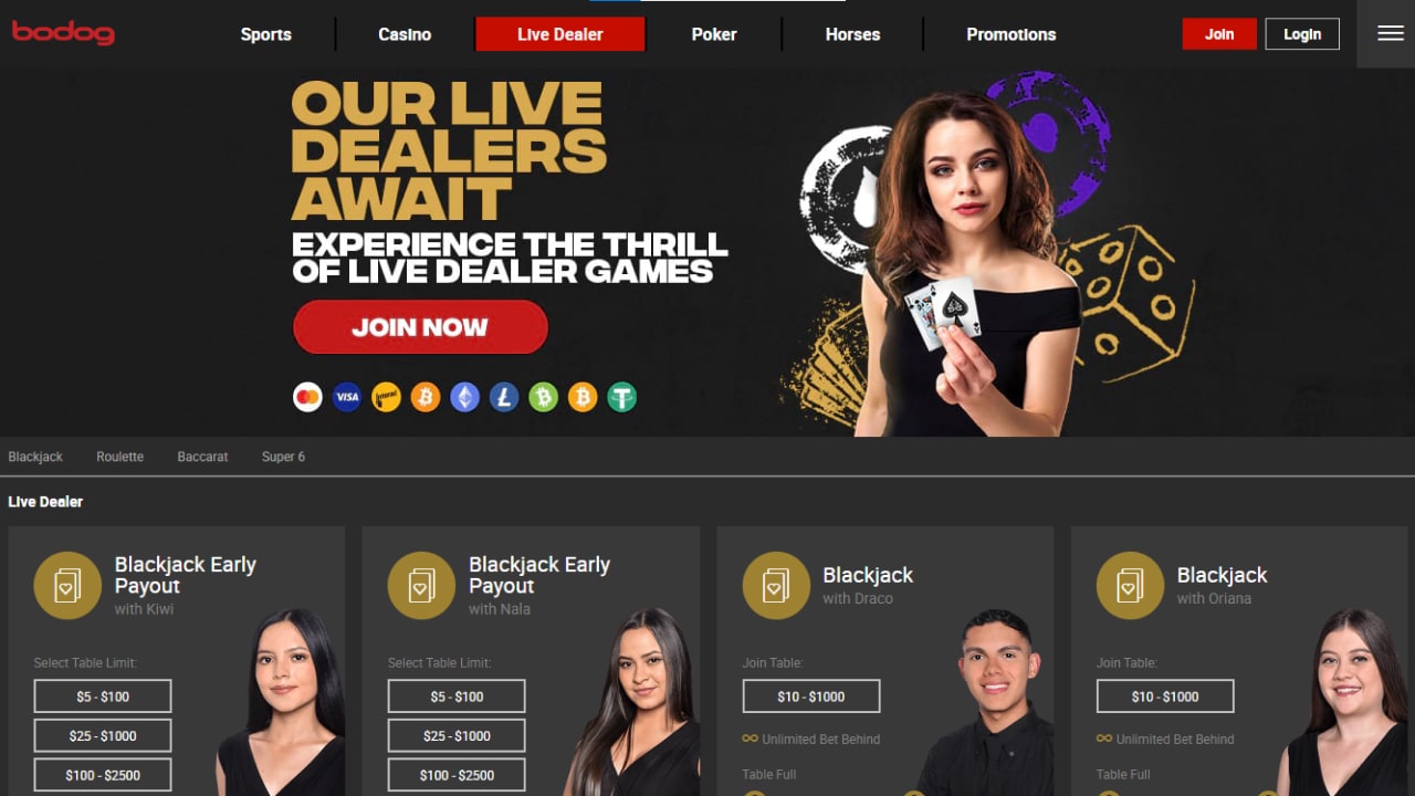 Bodog online casino