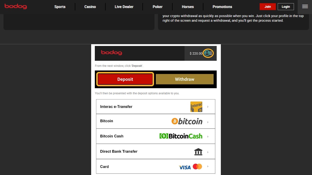 Bodog payment methods